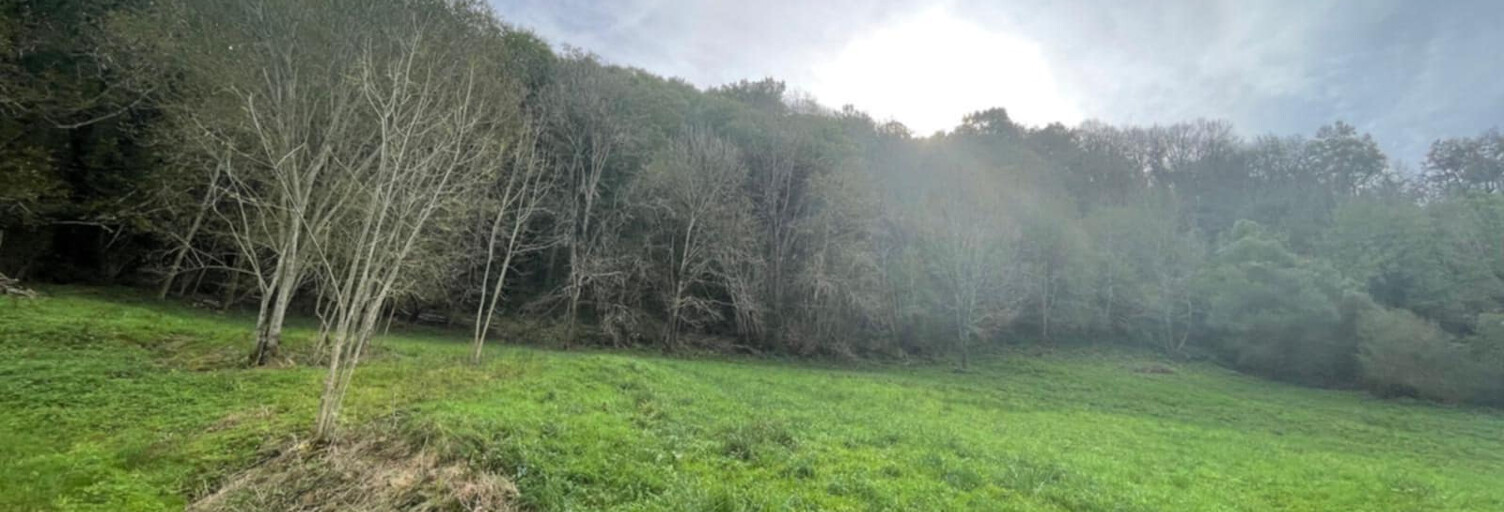 Terrain  5262 m² à vendre à Licq-Athérey (64560)