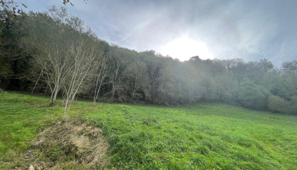 Terrain  à vendre Licq-Athérey 64560