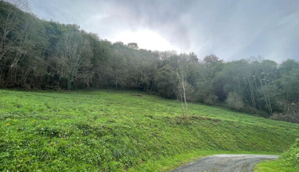 Terrain  à vendre Licq-Athérey 64560