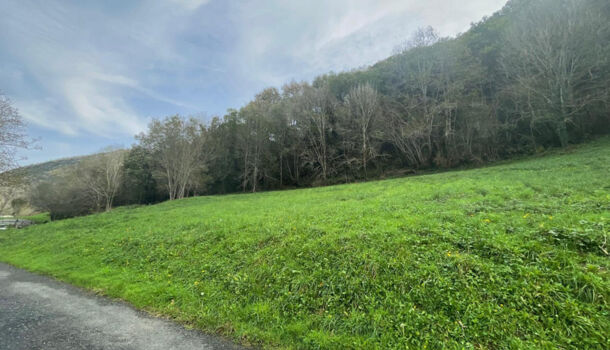 Terrain  à vendre Licq-Athérey 64560