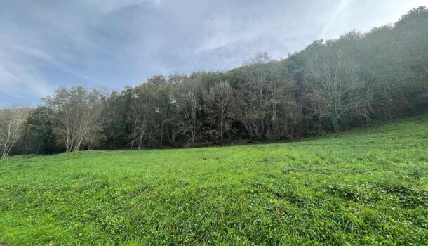 Terrain  à vendre Licq-Athérey 64560
