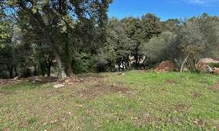 Terrain 1328 m² à construire Carnoules (83660)