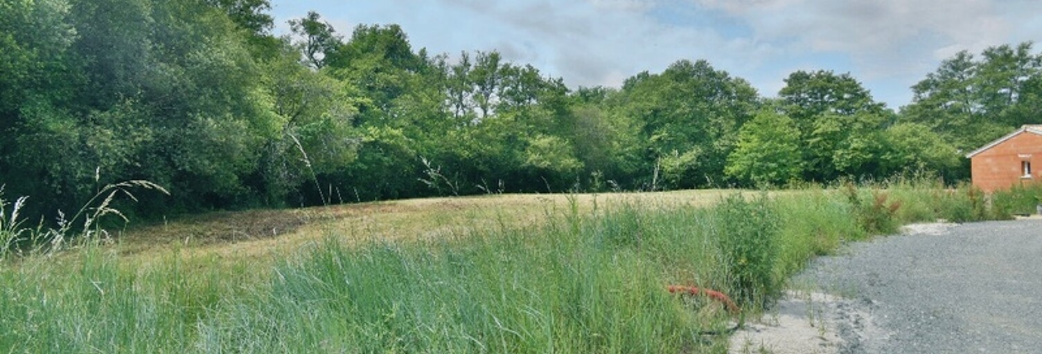 Terrain  625 m² à vendre à Lignan-de-Bordeaux (33360)