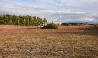 Terrain  598 m² à vendre à Montazels (11190)