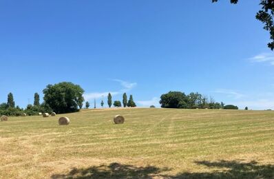 terrain 517 m2 à construire à Sauveterre-de-Guyenne (33540)