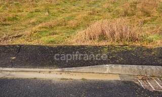 Photo N° 4