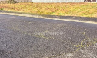 Photo N° 6