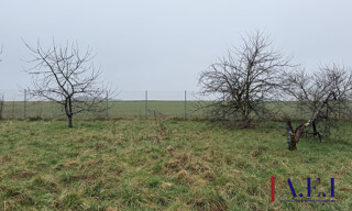 Photo N° 4