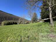 Terrain — photo 2