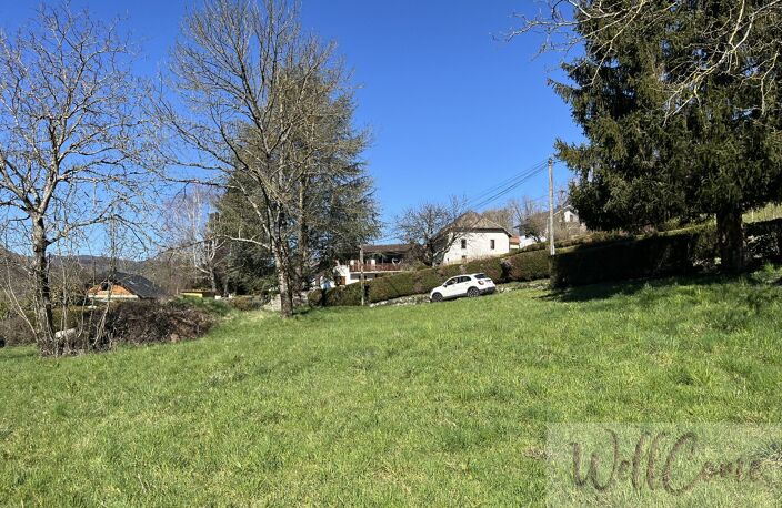Terrain — photo 4