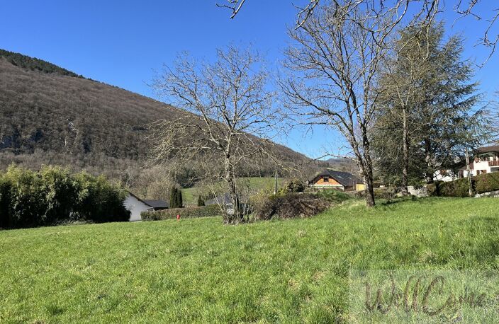 Terrain — photo 5