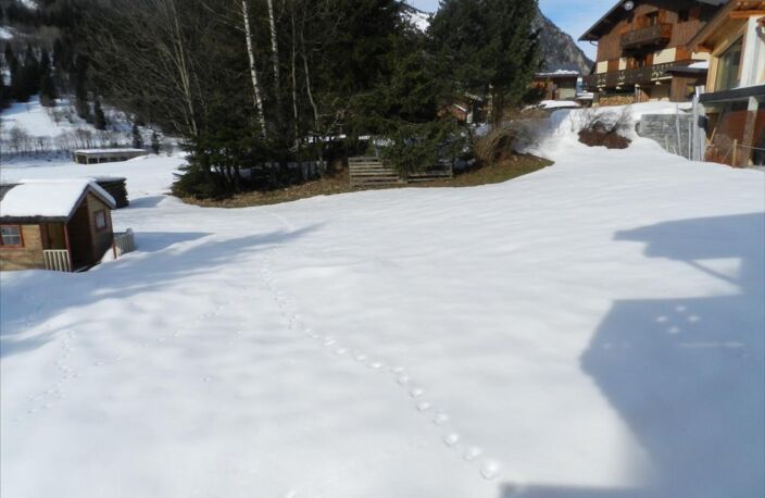 Vente terrain  637 m² Pralognan-la-Vanoise (73710) — photo 2