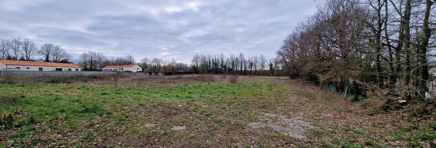 Terrain  492 m² à vendre à Martinet (85150)