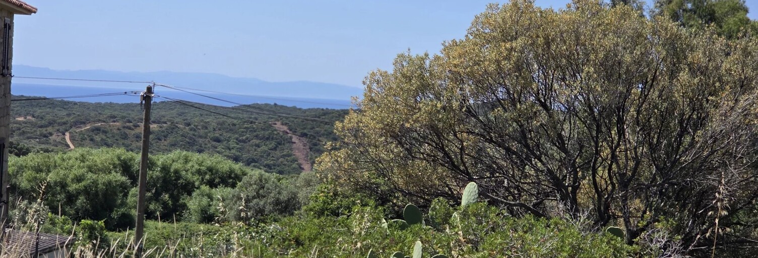 Terrain  237 m² à vendre à Monacia-d'Aullène (20171)