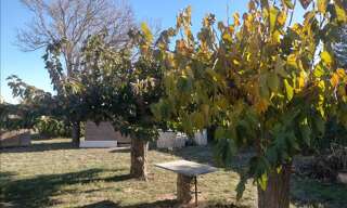 Terrain  780 m² à vendre à Sérignan (34410)