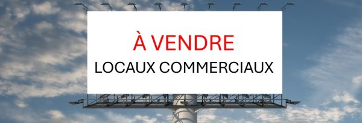 Commerce  4000 m² à vendre à Perpignan (66000)