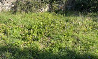 Photo N° 5