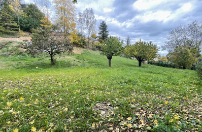 vente terrain 239 900 € à proximité de Chasselay (69380)