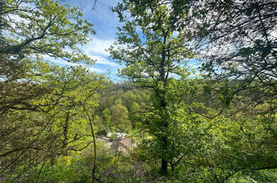 Commerce  1200000 €