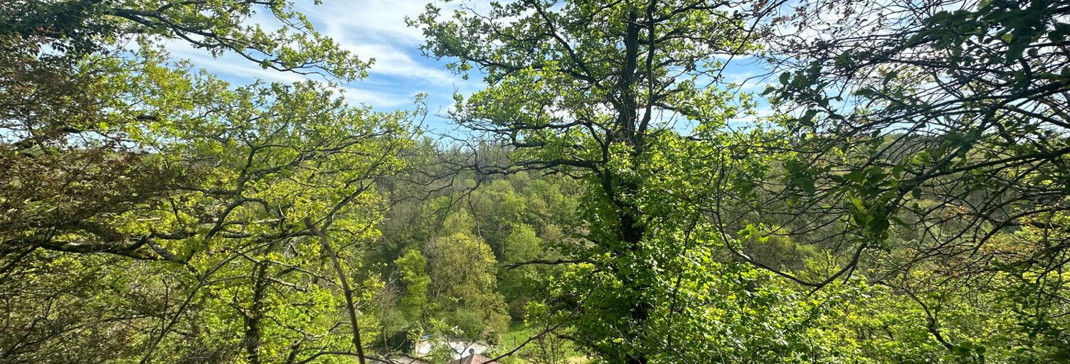 Commerce  700 m² à vendre à Charbonnières-les-Bains (69260)