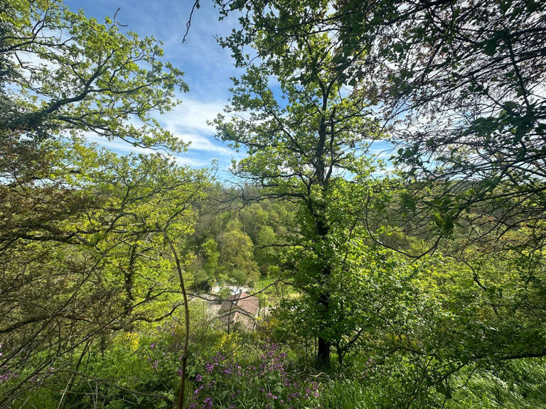 HOTEL avec espace restauration pleine nature — photo 1