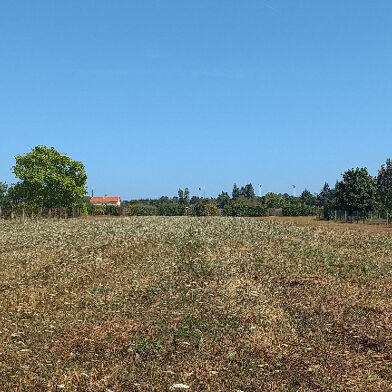 Terrain 1250 m²