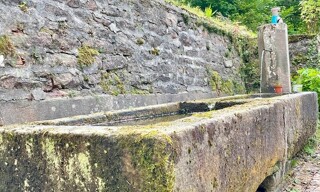 Photo N° 3