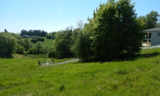 Photo N° 4