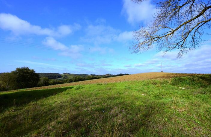 Prix en baisse! A vendre, proche Auch, Gers: ancien corps de ferme à rénover avec maison authentique en pierre et de nombreuses dépendances sur un site exceptionnel, situation dominante et calme sans voisinage et nuisances. Terrain d'un ha. Allée privée — photo 3