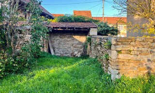 Photo N° 16