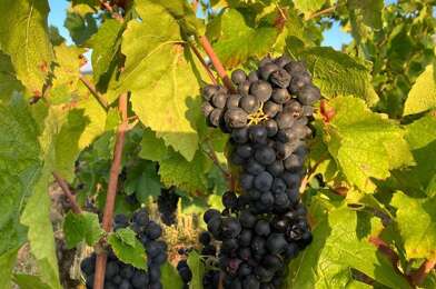 Local industriel  14000 €