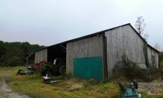 Photo N° 6