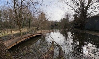 Photo N° 4