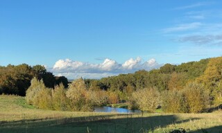 Photo N° 4