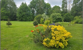Photo N° 3