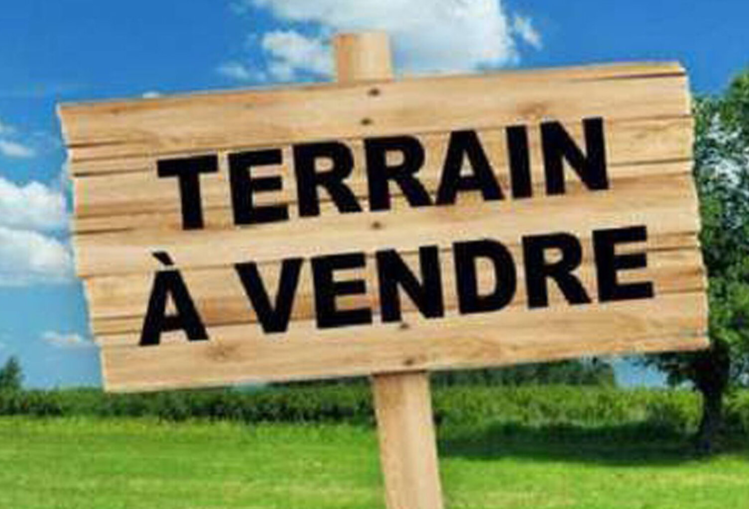 Terrain 1550 m² à vendre !  constructible ! — photo 1