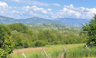 Photo N° 4