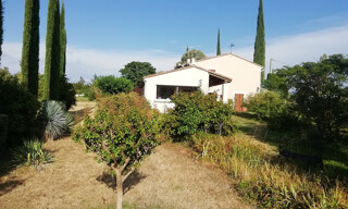 Photo N° 6