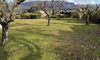 Photo N° 5