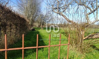 Photo N° 4