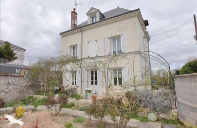 vente maison 265 000 € à proximité de Luçay-le-Mâle (36360)