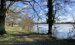 Photo N° 5