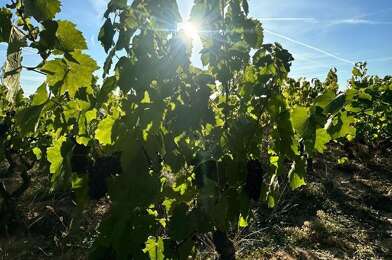 Local industriel  9000 €