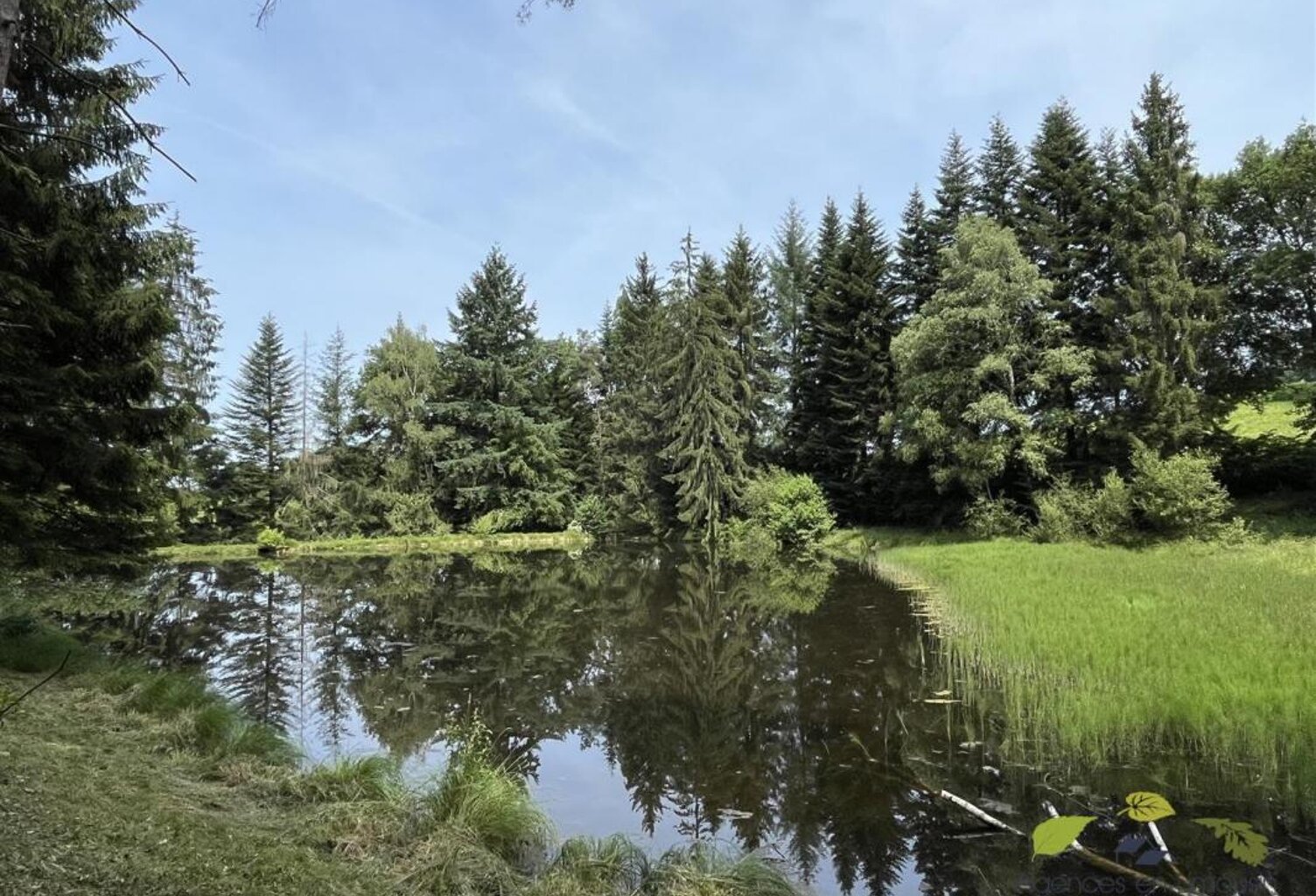 HAUTE VIENNE — photo 1