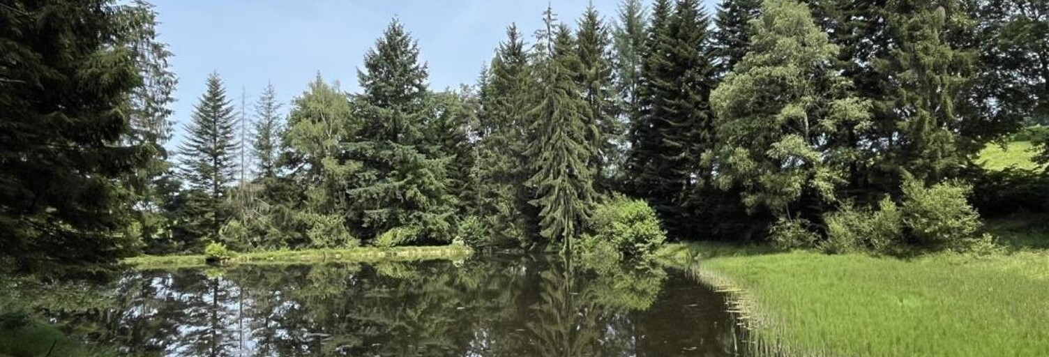 Maison   m² à vendre à Moissannes (87400)