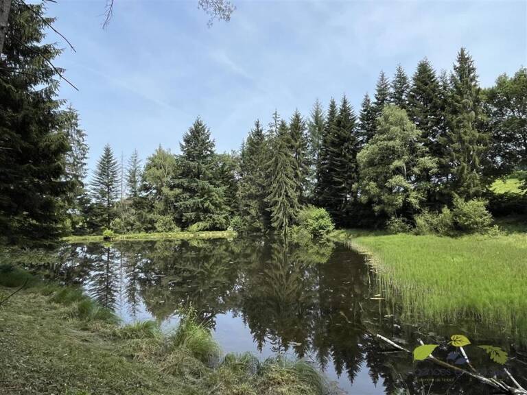 HAUTE VIENNE — photo 1