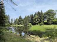 HAUTE VIENNE — photo 2