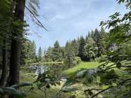 HAUTE VIENNE — photo 3