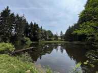 HAUTE VIENNE — photo 4