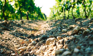 property.type.service  34471 m² à vendre à Pomerol (33500)